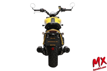 LETBE - PUNK 500 Freedom Yellow